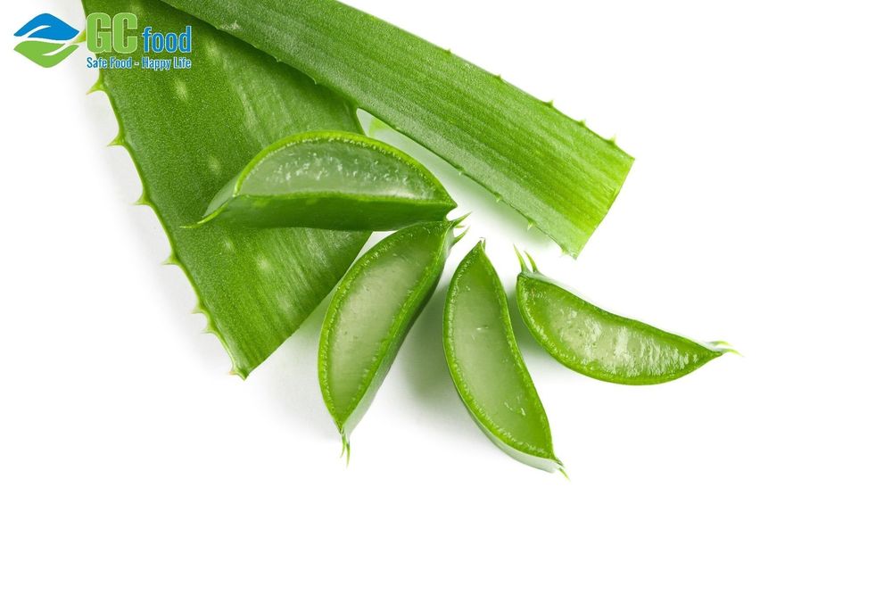 Các hoạt chất trong nha đam tạo ra một lớp bảo vệ da, giúp giảm tác hại của tia cực tím (UV).