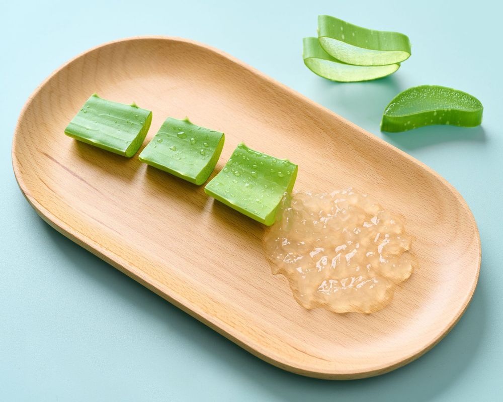 Một trong những cách sử dụng nha đam tươi phổ biến nhất là làm hợp chất dưỡng tóc và da đầu.