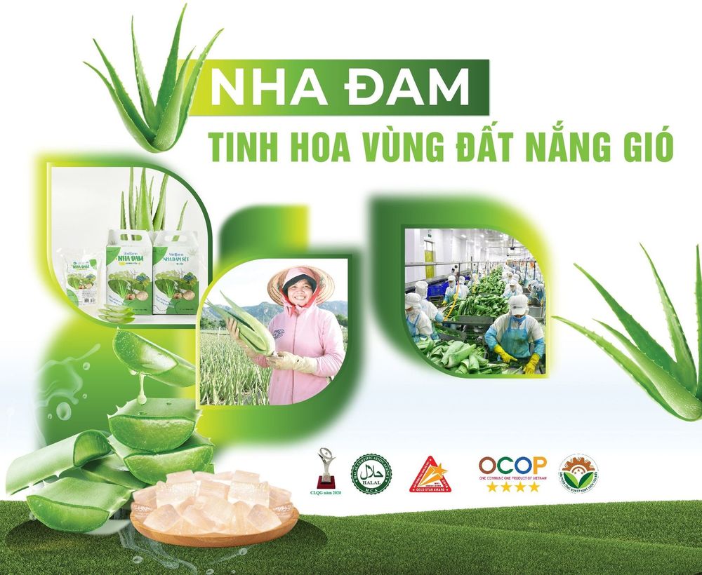 Tập san nha đam tinh hoa vùng đất nắng gió