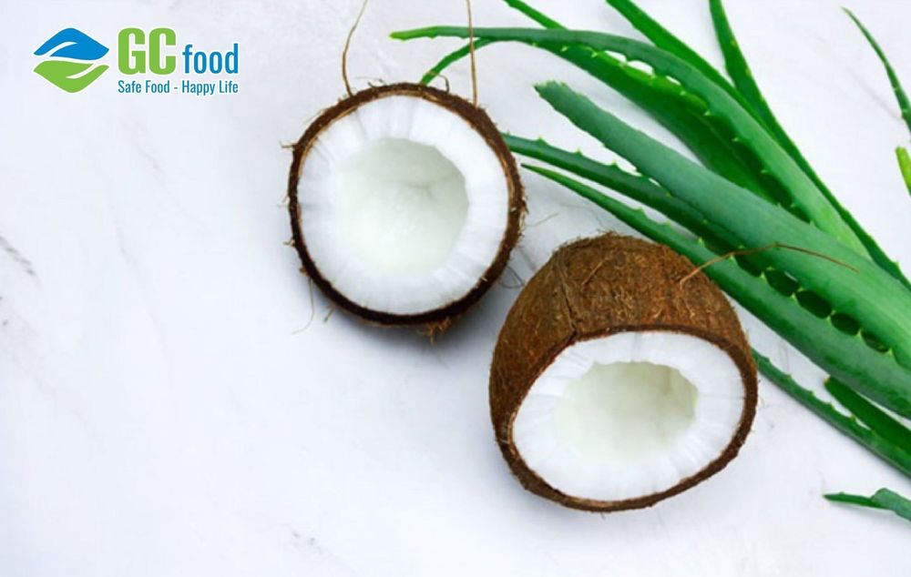 Dừa và lô hội (nha đam) là 2 thành phần để làm dầu dừa lô hội. 