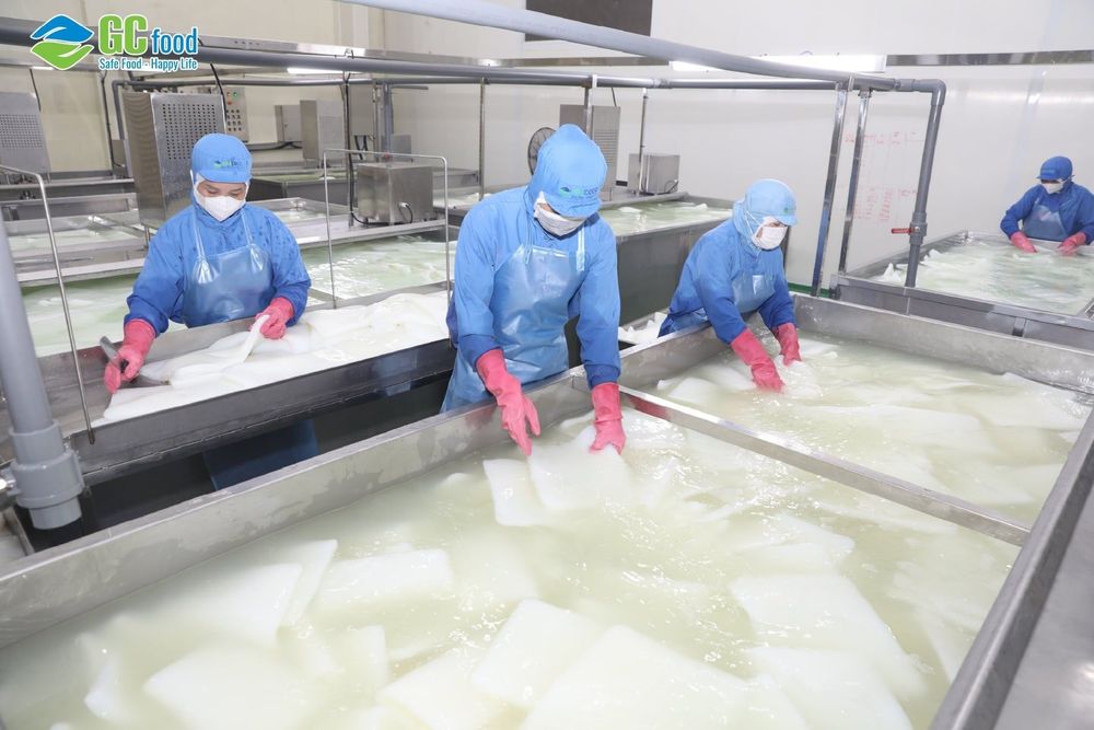 F&B là ngành bao gồm tất cả các hoạt động cung cấp dịch vụ ăn uống. 