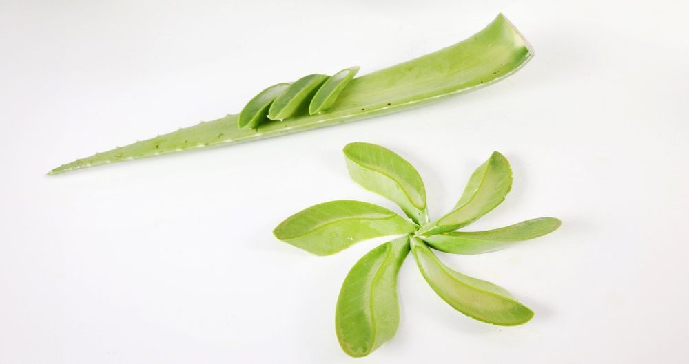 Không nên lạm dụng nha đam để chăm sóc da thường xuyên.