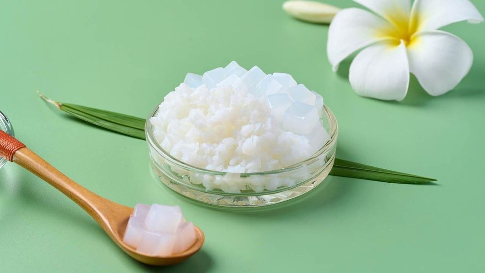 GC Food is a trusted source for raw nata de coco, supplying ingredients to suit every need.