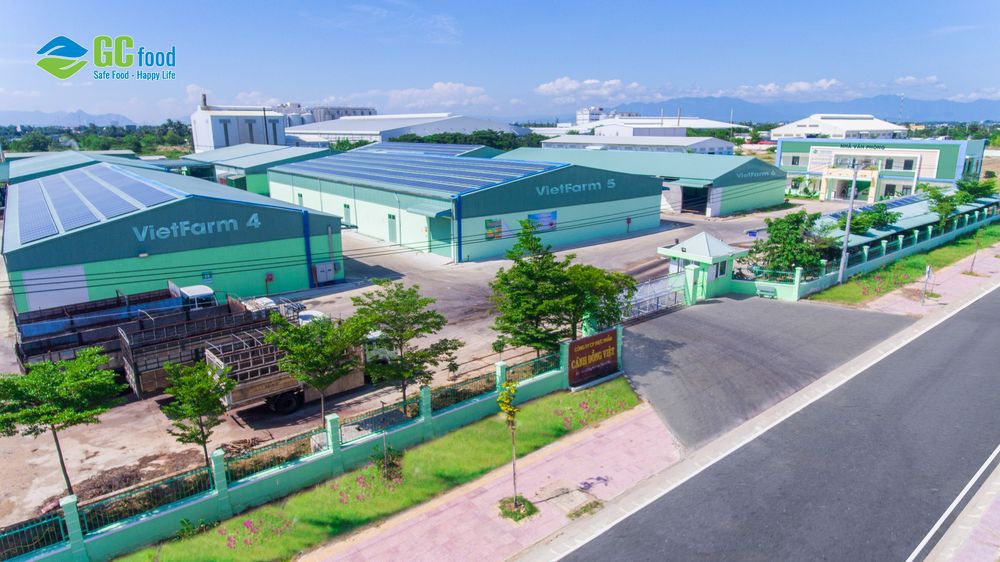 GC Food factory as part of the food supply chain. 
