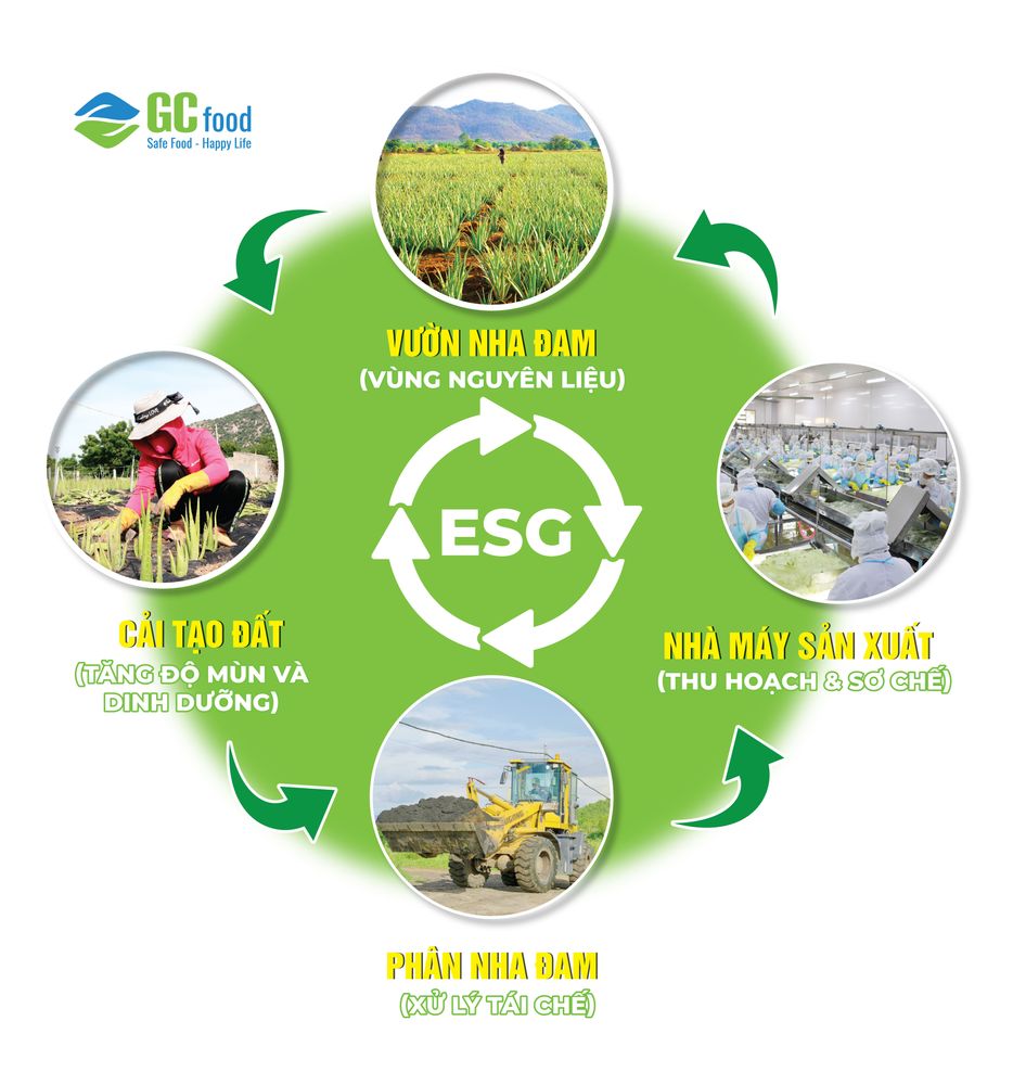 GC Food triển khai mô hình tuần hoàn trong nông nghiệp.