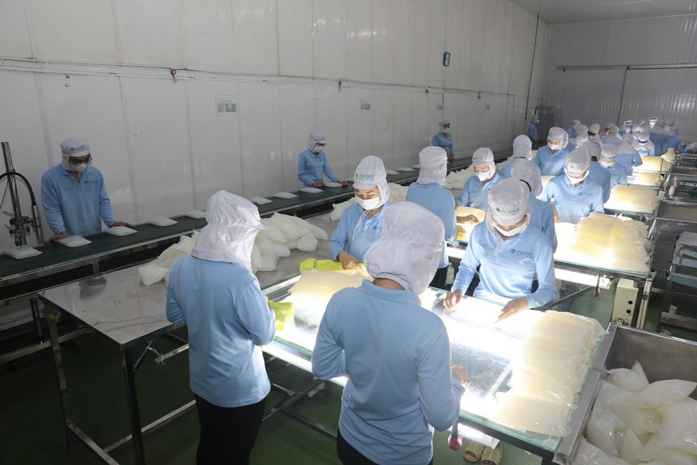 Coconut jelly production at GC Food is strictly controlled to guarantee safe, high-quality products.
