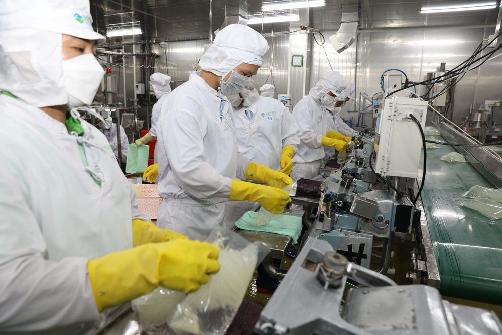 GC Food aloe vera drink is made under good manufacturing practices to ensure absolute safety for consumers.