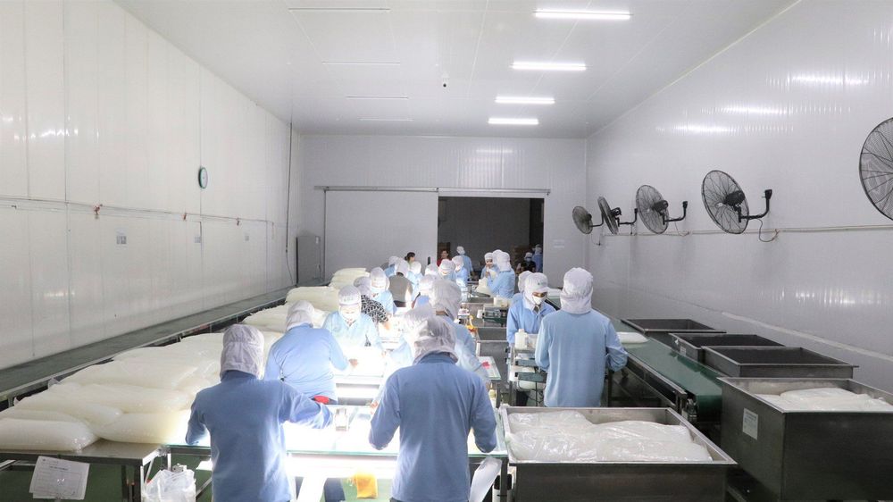 Nhà máy Vinacoco tại Đồng Nai được trang bị công nghệ hiện đại.