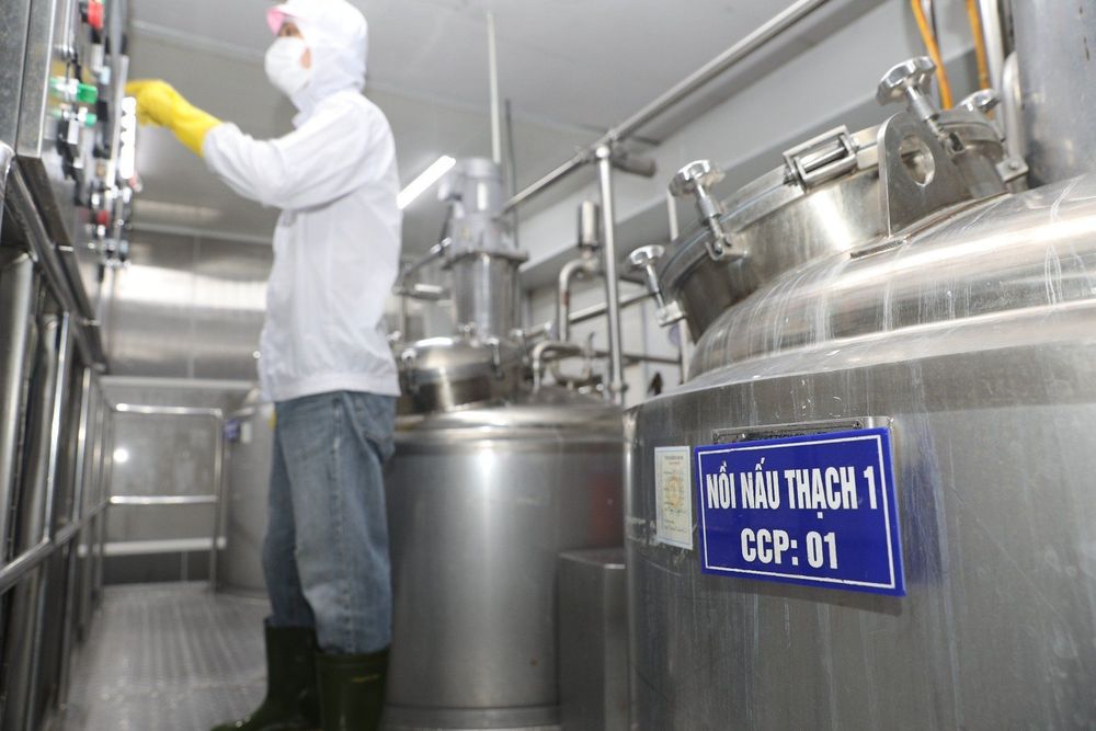 Thạch dừa thô giúp giải nhiệt và hỗ trợ sức khỏe.