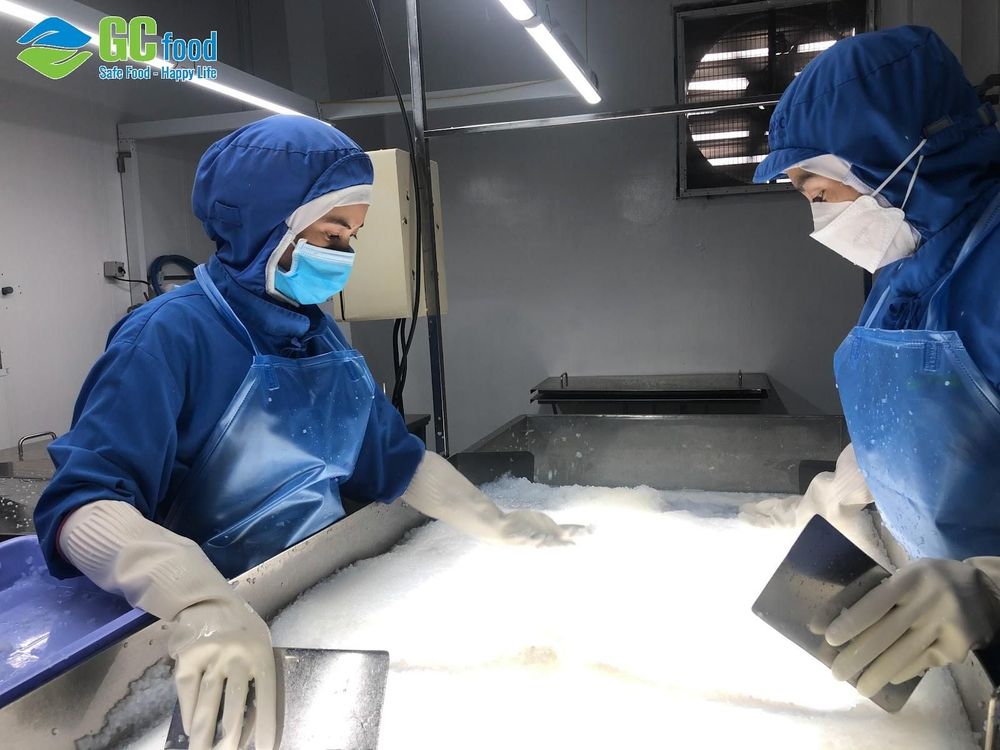 The international standard production process is an important factor for GC Food to bring safe jelly products while still retaining the natural cool taste.