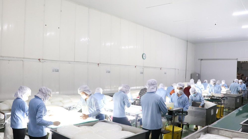 Every step in GC Food’s nata de coco production process is carefully monitored to make sure the product quality is always excellent