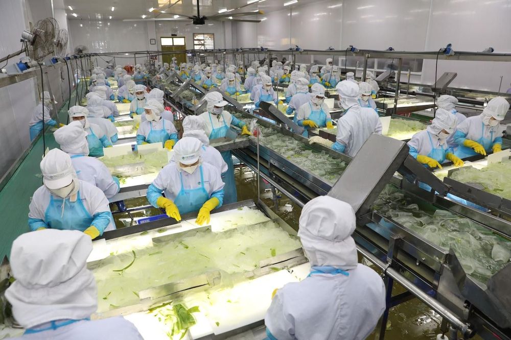 Ninh Thuan Aloe Vera Company is recruiting highly responsible personnel.