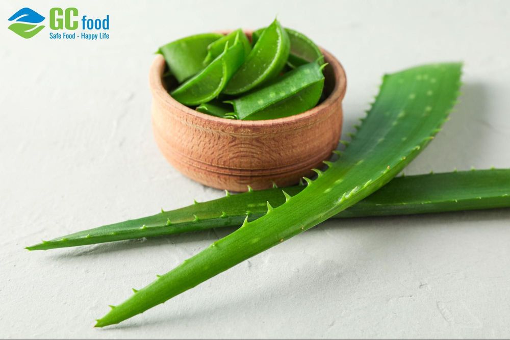 Thanks to its natural cooling properties and rich nutrients, aloe vera for treating sore throat is highly effective and soothing.