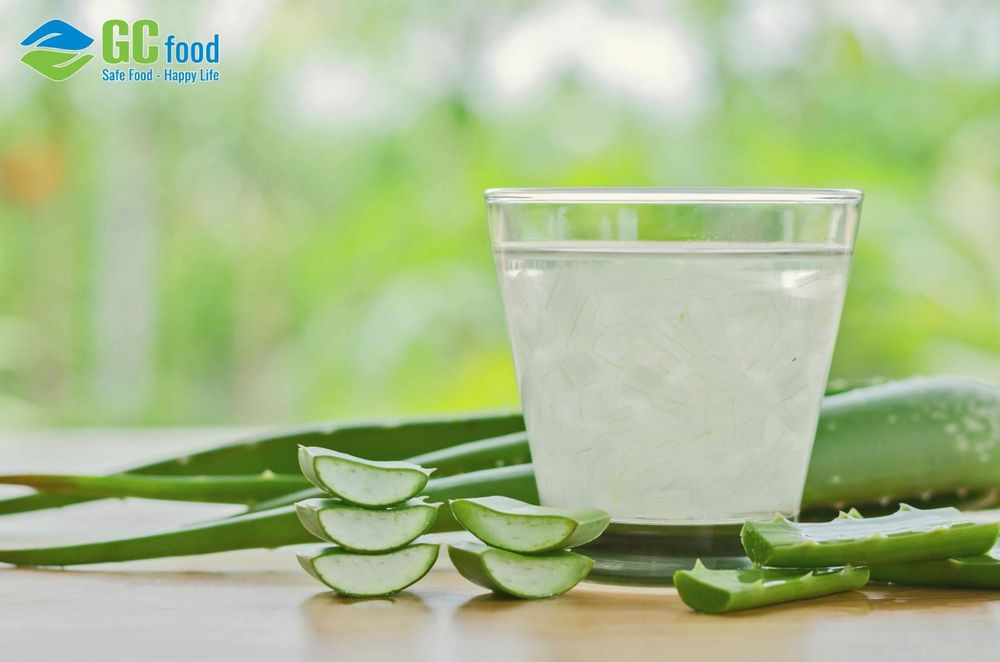 Uống nước lô hội với lượng hợp lý mỗi ngày giúp giải khát và bổ sung dưỡng chất.