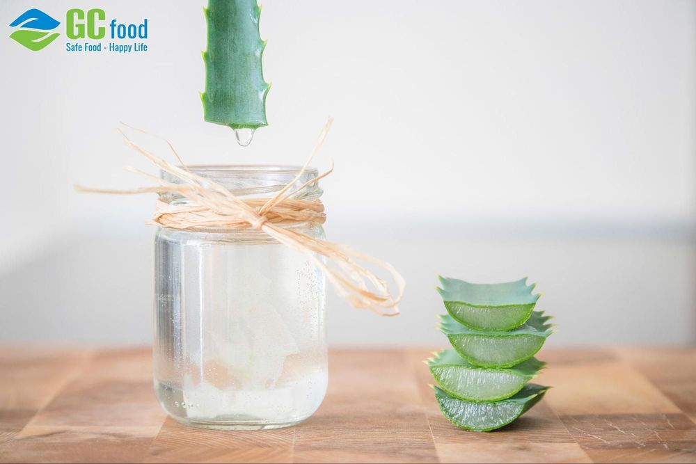 Uống nước yến nha đam đúng cách giúp bổ sung nước cho cơ thể và hỗ trợ đào thải độc tố.