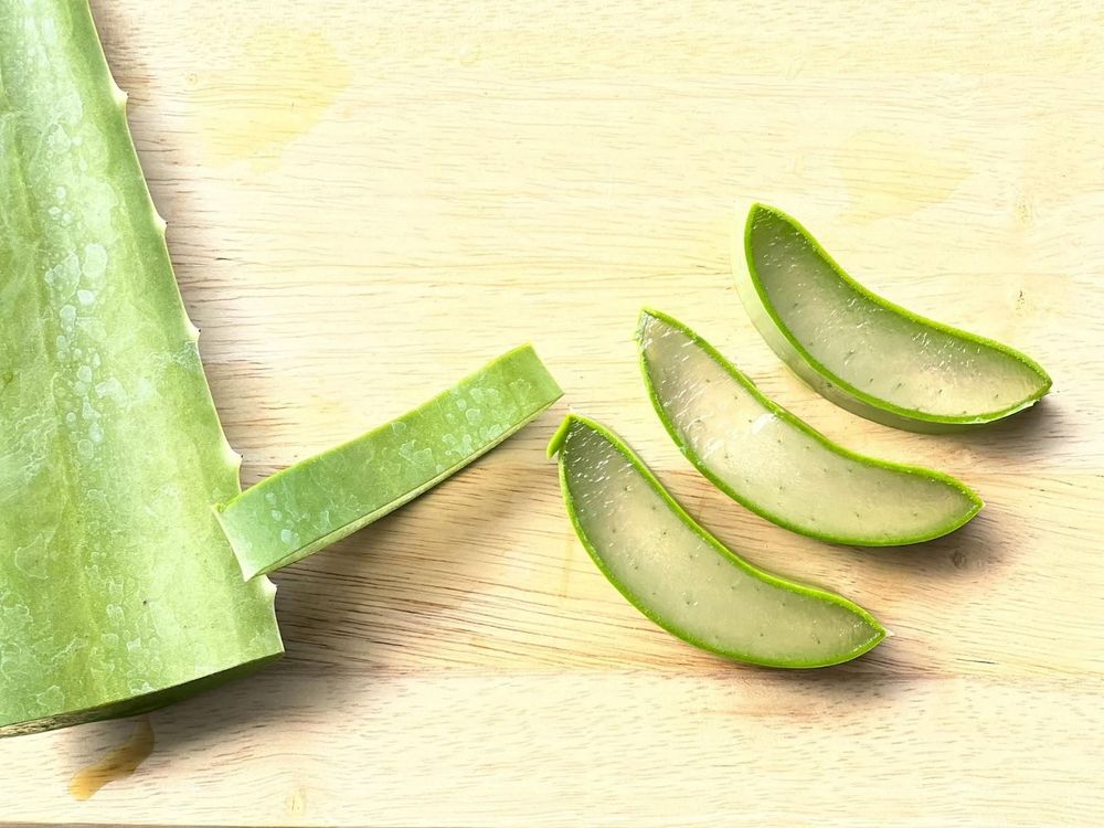 Aloe vera is increasingly present in every aspect of our lives, like in refreshing drinks or skincare remedies