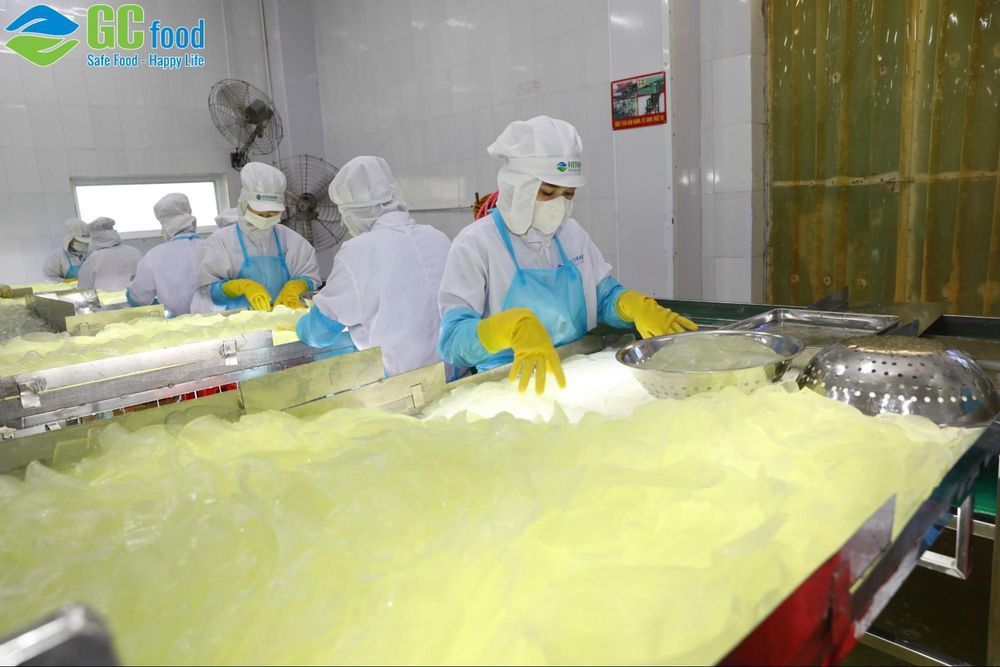 Một trong những quy trình chế biến sản phẩm nha đam của GC Food.
