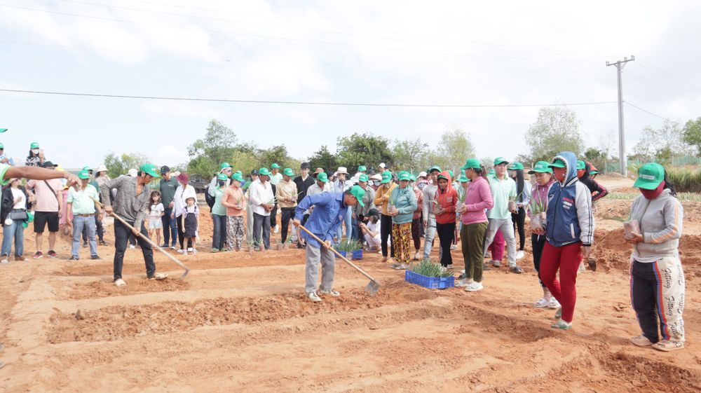 Hưởng ứng Ngày trồng cây 3/3: GC Food cùng TreeBank gieo lộc xuân mới tại Mũi Dinh (Ninh Thuận)