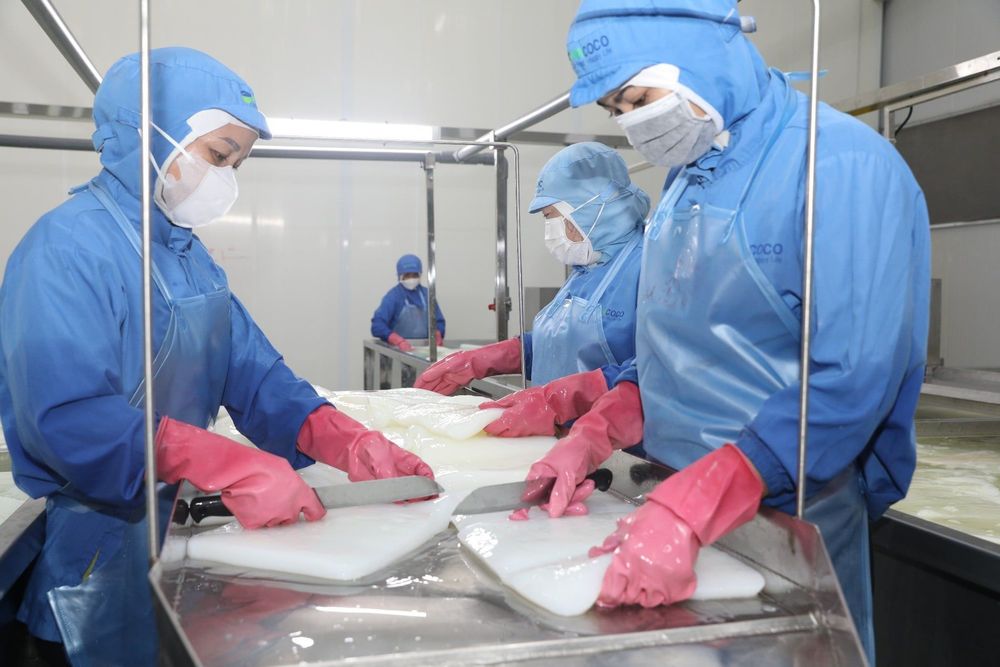 Quy trình kiểm soát chất lượng sản phẩm đảm bảo thành phẩm thạch dừa luôn dai ngon và an toàn khi tung ra thị trường.