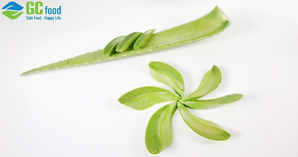 Bạn nên ưu tiên chọn mua những lá nha đam chắc thịt, màu xanh sẫm 