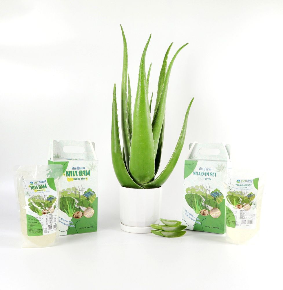 All ingredients can be easily found at supermarkets.