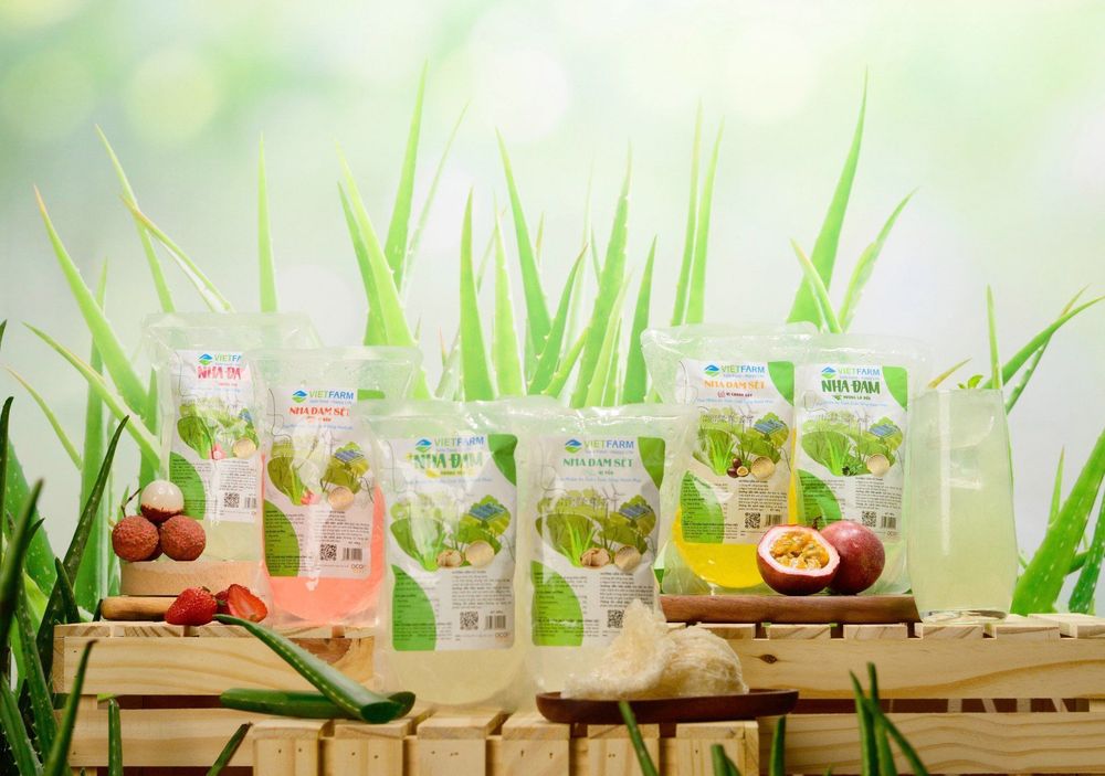 Aloe vera has become a versatile ingredient — widely used in both culinary creations and beauty care for its gentle yet effective natural benefits.