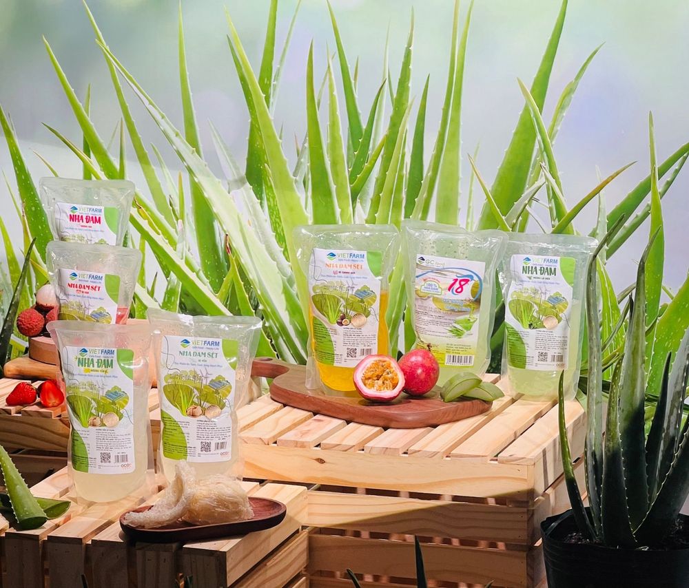 Các sản phẩm nha đam sạch và bảo đảm an toàn đến từ GC Food