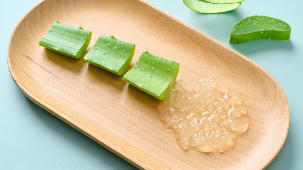 Fresh natural aloe vera has lots of health benefits, but it’s not for everyone.