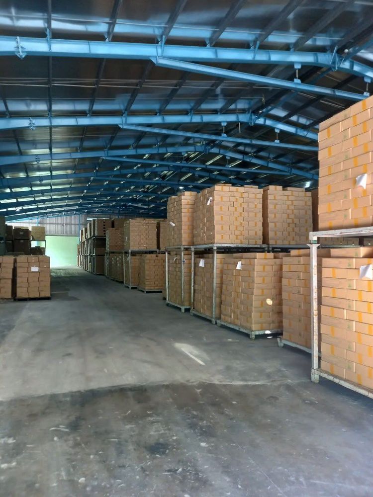 GC Food đảm bảo cung cấp số lượng lớn nha đam xuất khẩu với chất lượng đồng đều.