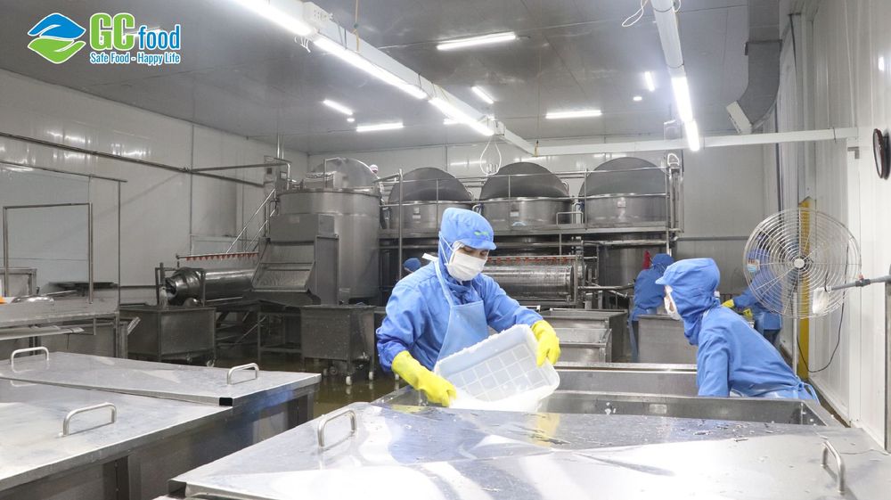 Công ty Cổ phần Thực phẩm Cánh Đồng Việt (VietFarm) - nhà máy sản xuất nha đam GC Food đã đạt chứng nhận JAS Organic.