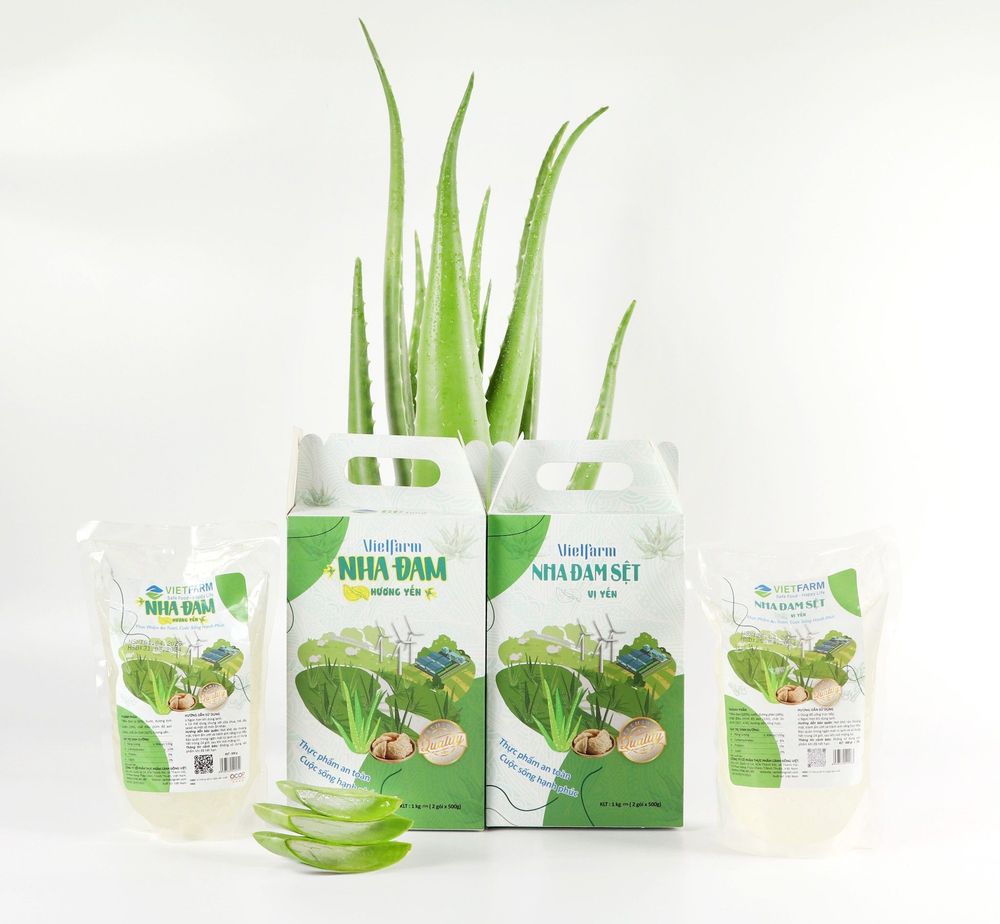 Nước nha đam GC Food với đa dạng hương vị sẽ là nguồn bổ sung dưỡng chất cho những ngày bận rộn của bạn.