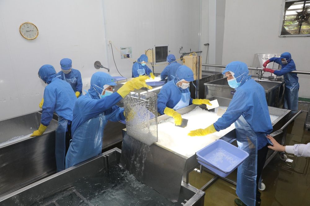 The entire nata de coco production process at GC Food is fully closed and monitored in real-time.