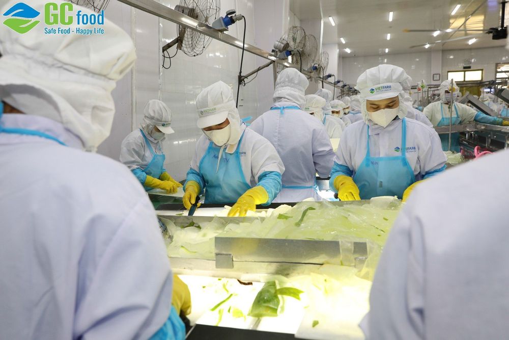 Với nguyên liệu sạch và công nghệ hiện đại, GC Food tạo ra nhiều sản phẩm thơm ngon, bổ dưỡng và an toàn