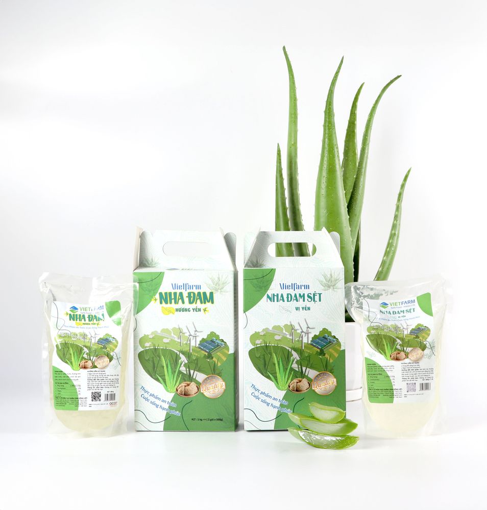 Sản phẩm nha đam GC Food đa dạng cả về hương vị và phân loại. 