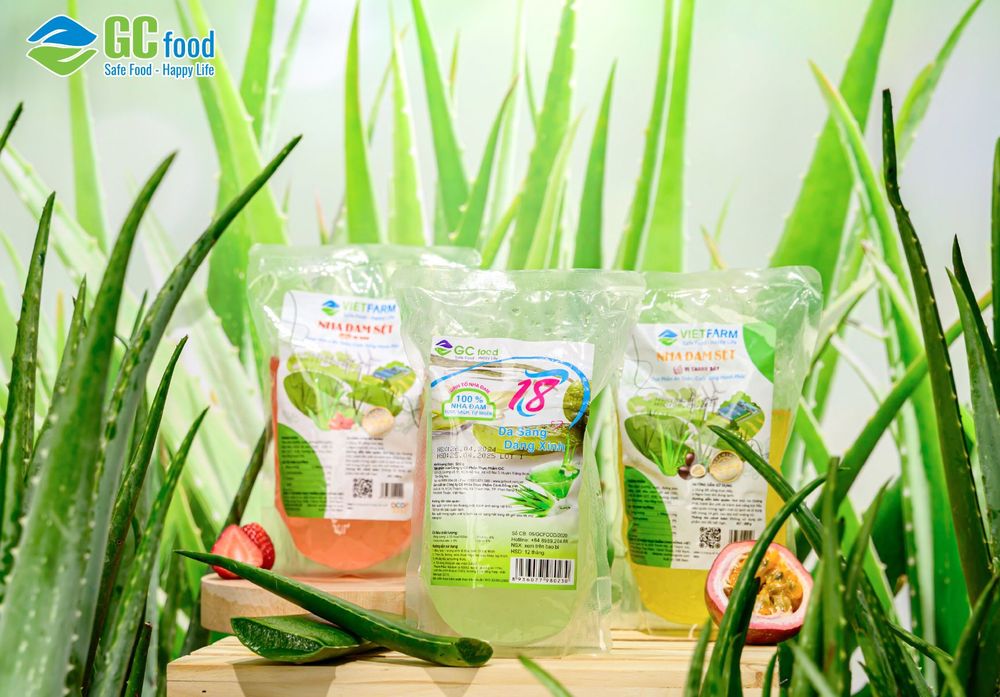Sản phẩm nha đam đạt chứng nhận EU Organic của GC Food.