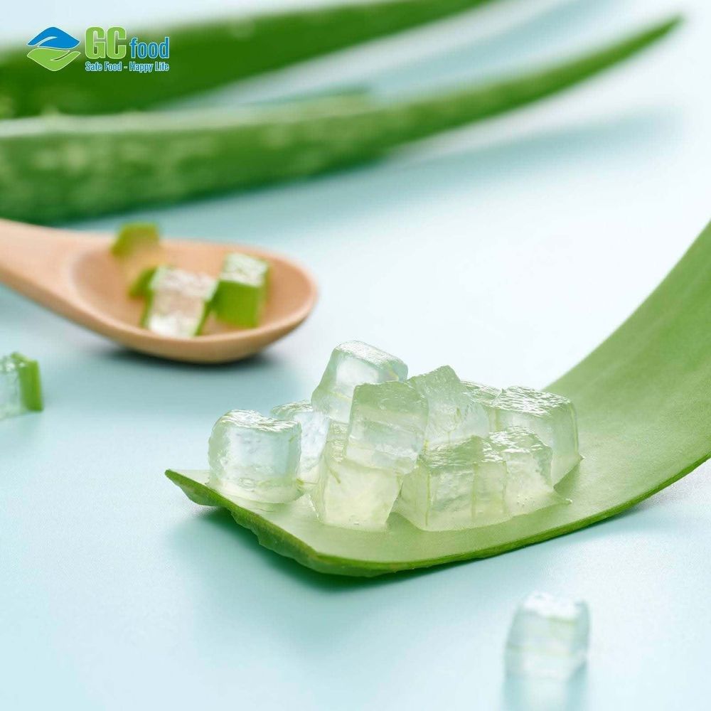 GC Food’s pre-processed aloe vera is neatly cut into small cubes.