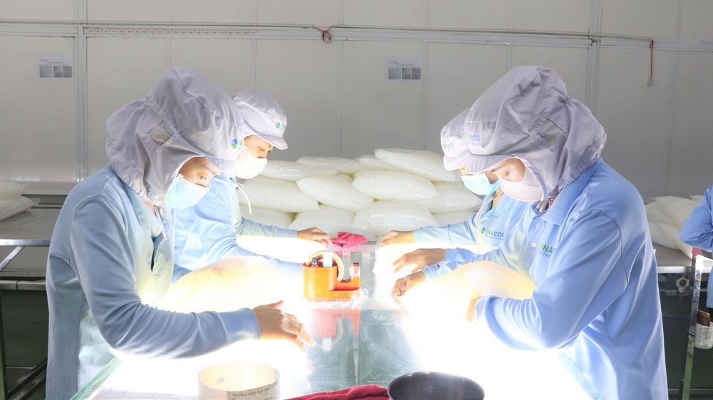 GC Food đóng gói sản phẩm rất linh hoạt và đa dạng, phục vụ cho cả người tiêu dùng lẻ đến ngành công nghiệp.