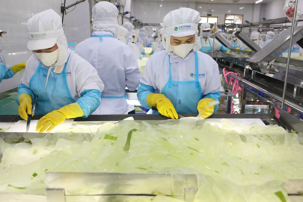 As the best aloe vera supplier, GC Food strictly follows standardized control procedures and strict quality regulations.