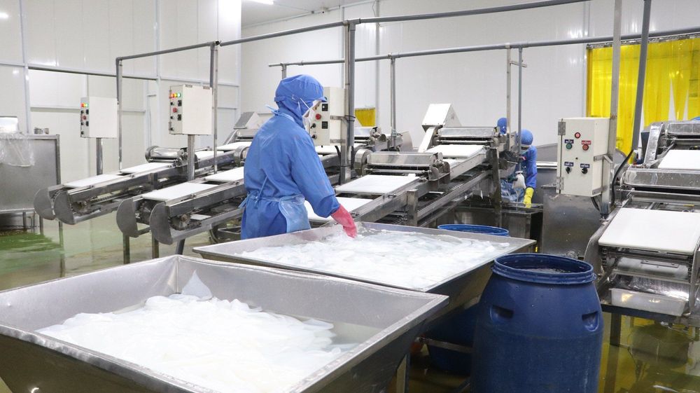 Vinacoco sản xuất thạch dừa Bến Tre theo công nghệ hiện đại giúp đảm bảo hương vị chất lượng.