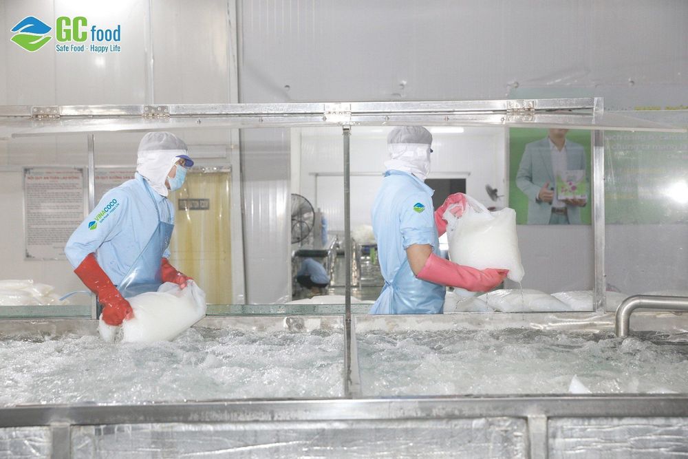 GC Food Nata de Coco is pasteurized using advanced technology.