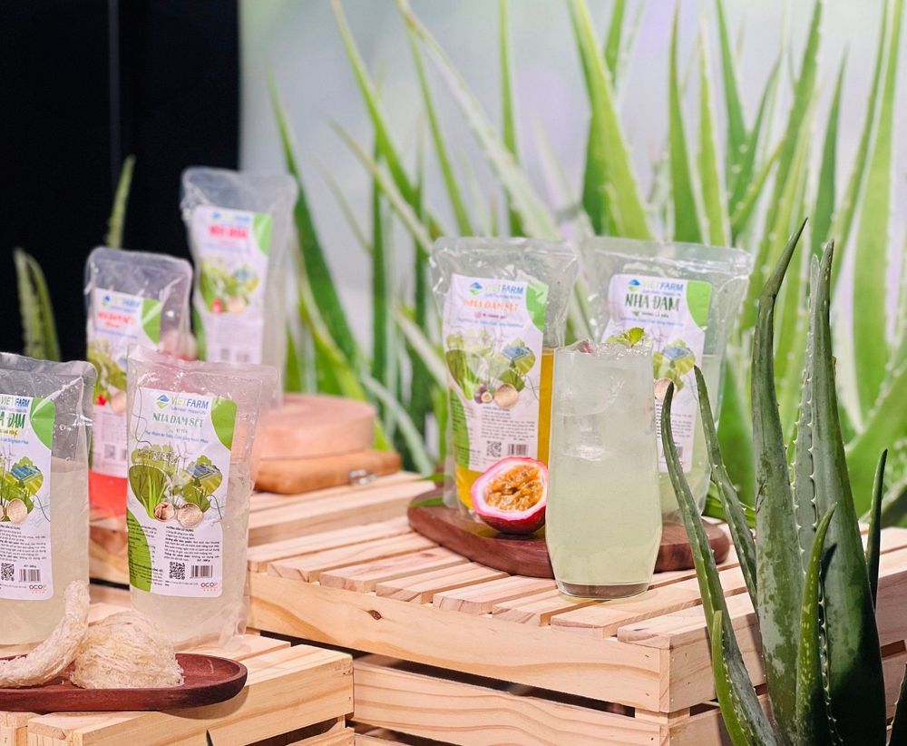 GC Food coconut jelly and aloe vera always ensure safety and hygiene criteria.