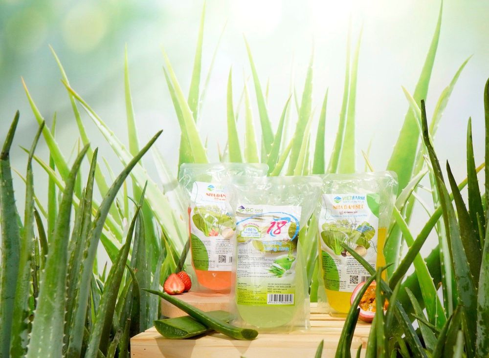 GC Food aloe vera jelly can be stored for up to 12 months. Keep it refrigerated and enjoy it within 48 hours after opening.