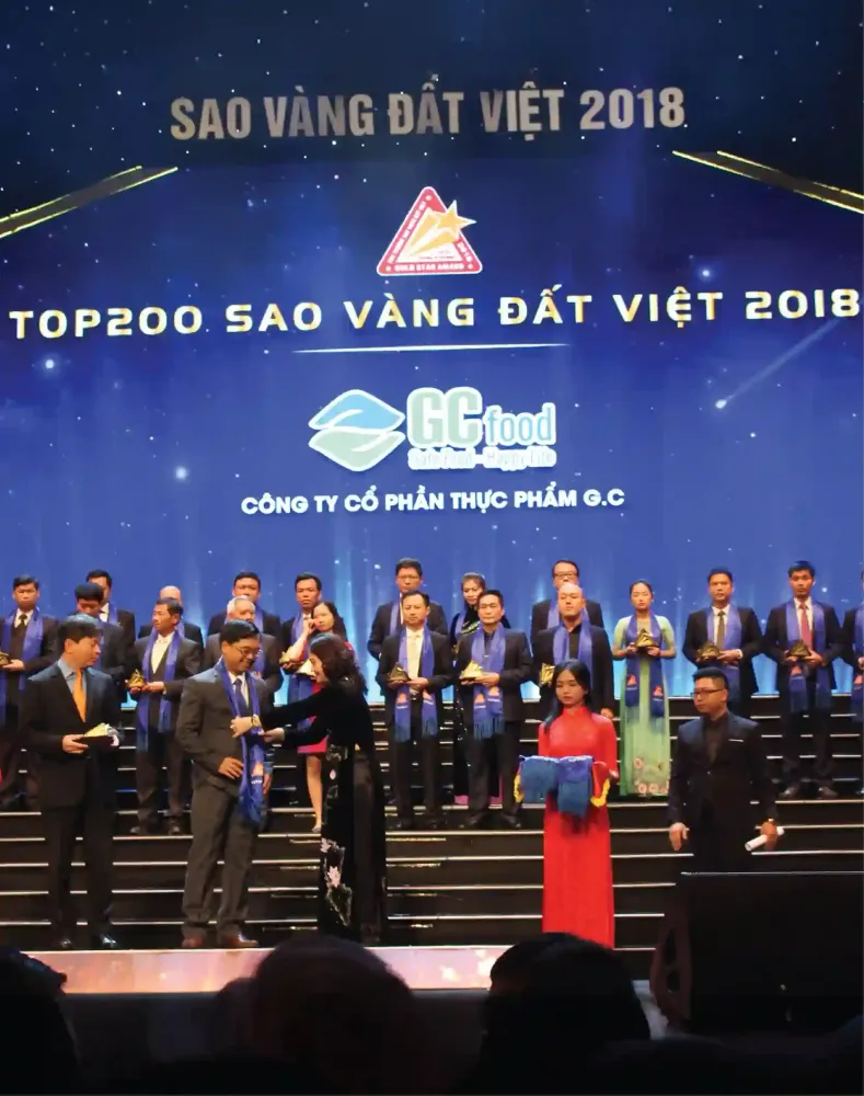 Top 200 Sao Vàng đất Việt