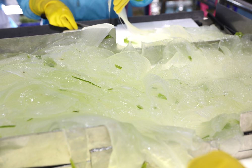 The entire production process is strictly controlled to make sure that all the products, especially the crunchy aloe vera line, stay consistent and high quality.