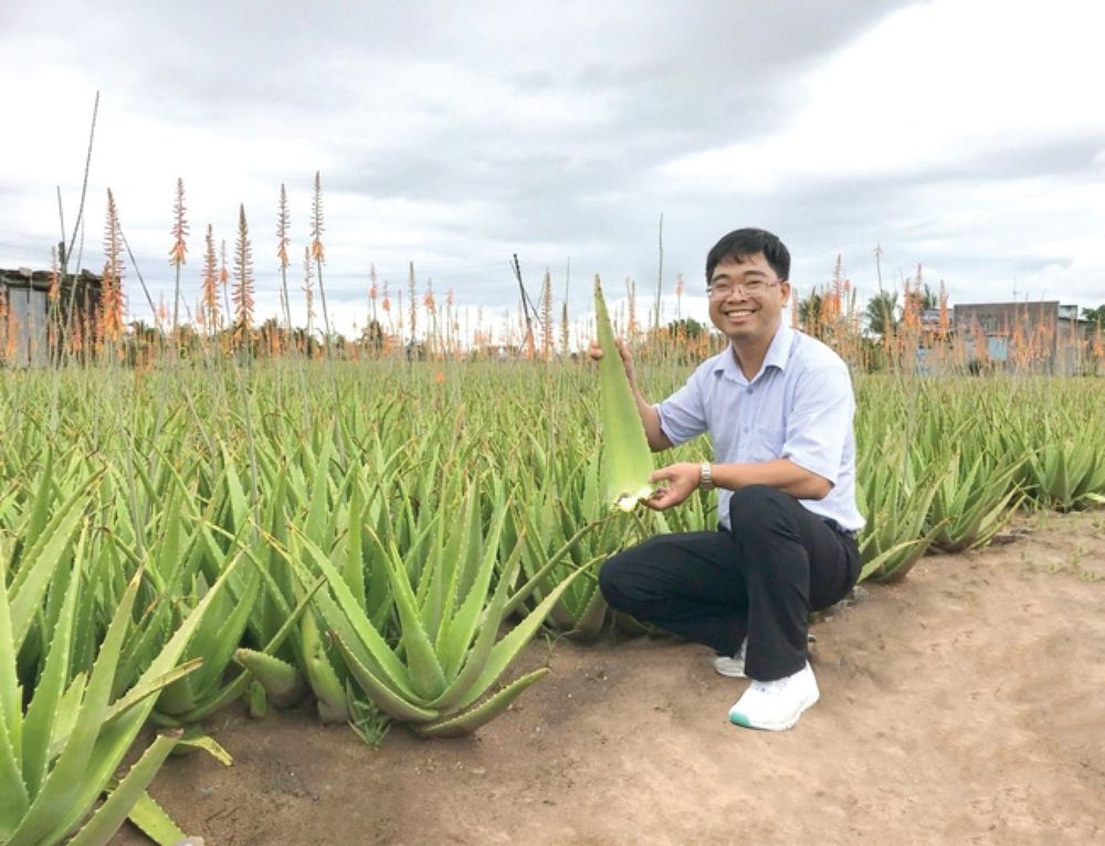 Trồng "Cây làm đẹp" xuất khẩu sang Nhật Bản, Hàn Quốc, “VUA NHA ĐAM” thu về 484 tỷ đồng