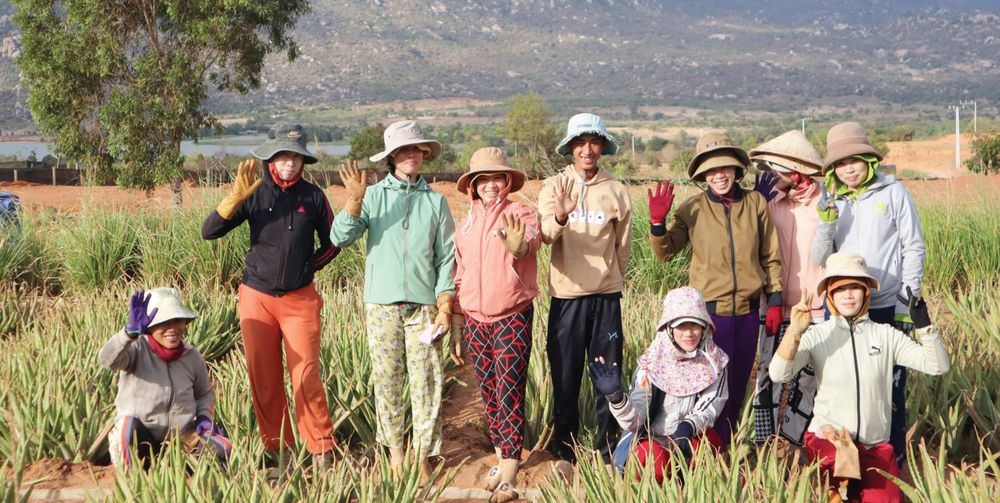 Trồng "Cây làm đẹp" xuất khẩu sang Nhật Bản, Hàn Quốc, “VUA NHA ĐAM” thu về 484 tỷ đồng