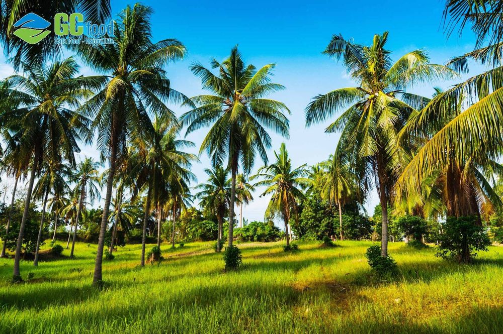 Mô hình nông nghiệp tuần hoàn giúp tiết kiệm chi phí nhờ tái tạo tàn dư cây trồng thành phân bón hữu cơ.