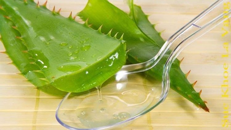 Benefits and 4 ways to use aloe vera for skin beauty