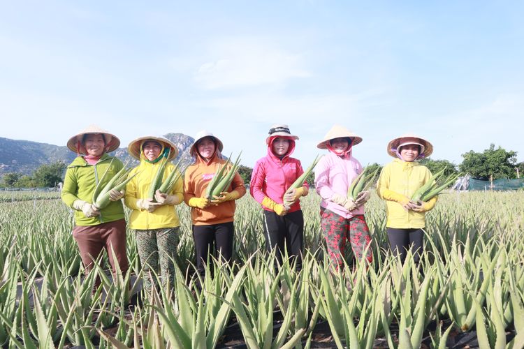 Công Ty Cổ Phần Thực Phẩm G.C