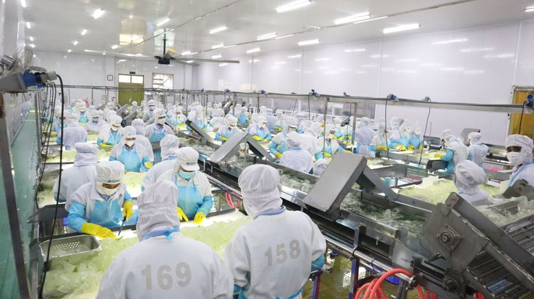 Công Ty Cổ Phần Thực Phẩm G.C